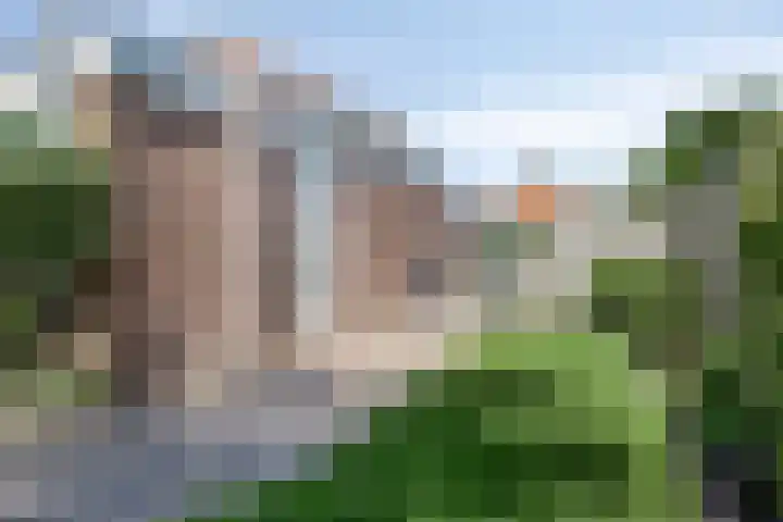Willem Grolstraat 130 Emmen thumbnail 46