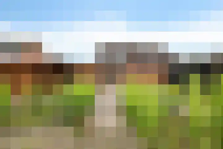 Willem Grolstraat 35 Emmen thumbnail 20