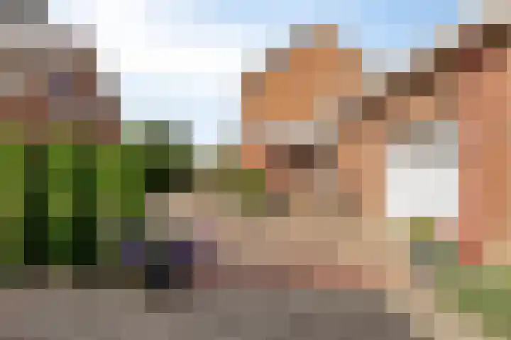 Willem Grolstraat 45 Emmen thumbnail 39
