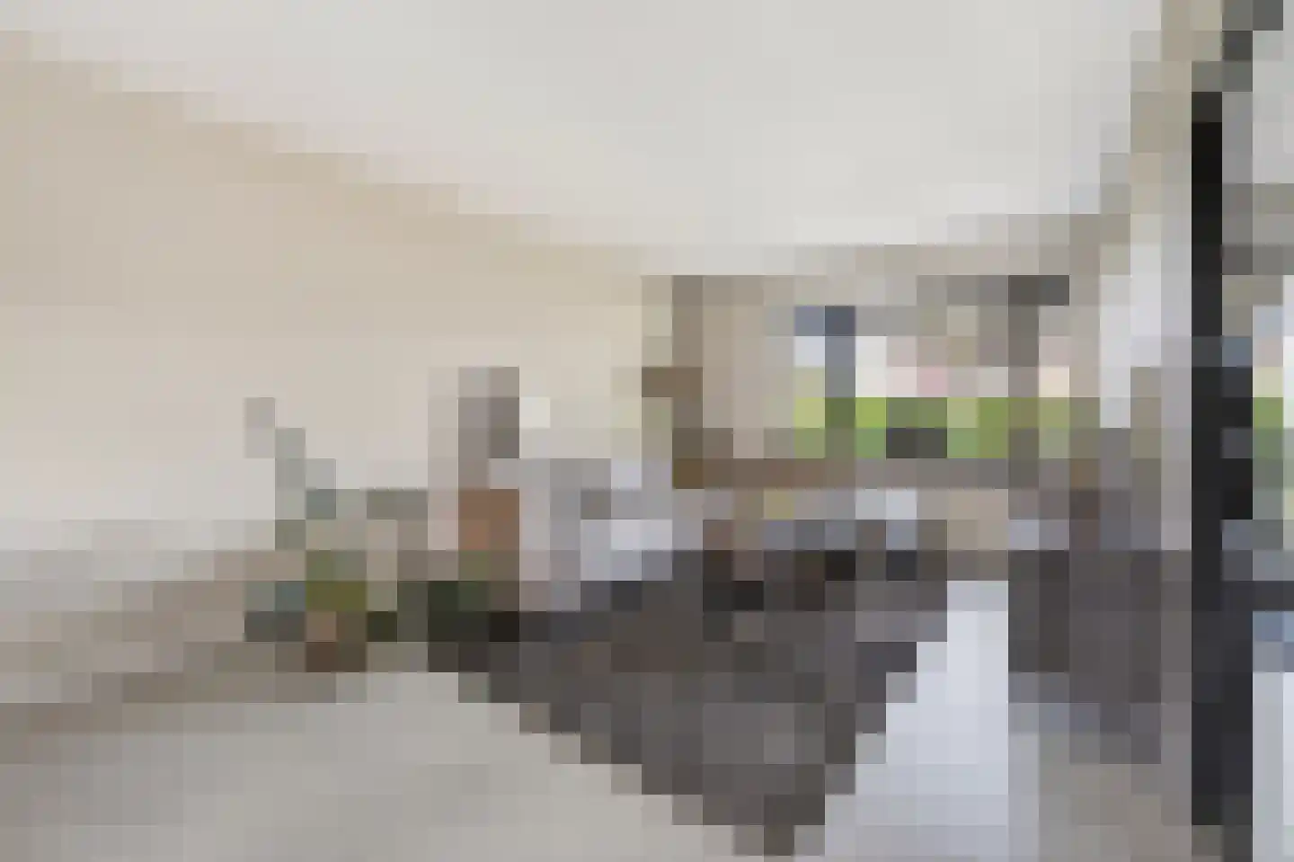 Willem Grolstraat 77 Emmen thumbnail 6