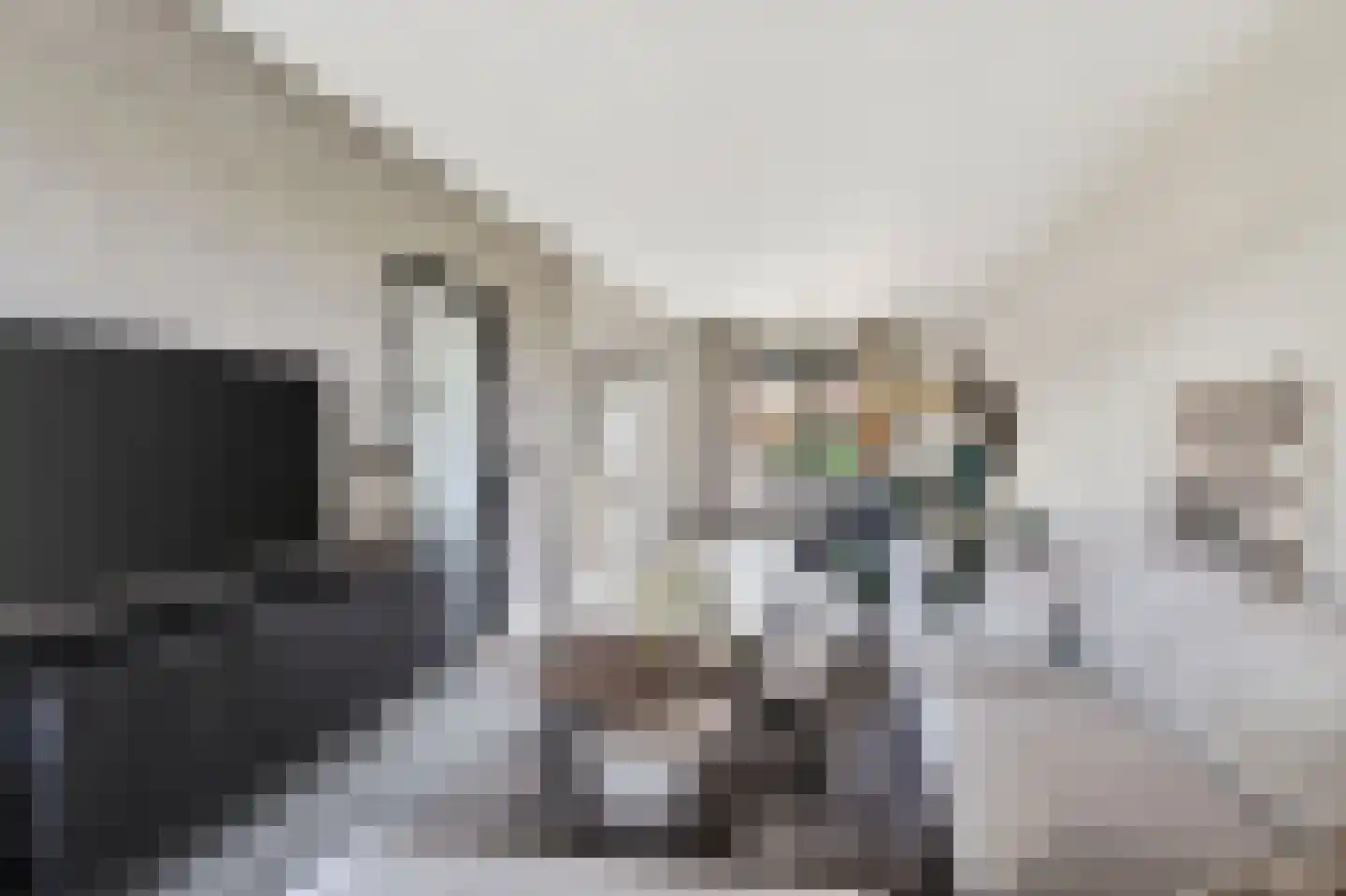 Willem Grolstraat 77 Emmen thumbnail 8