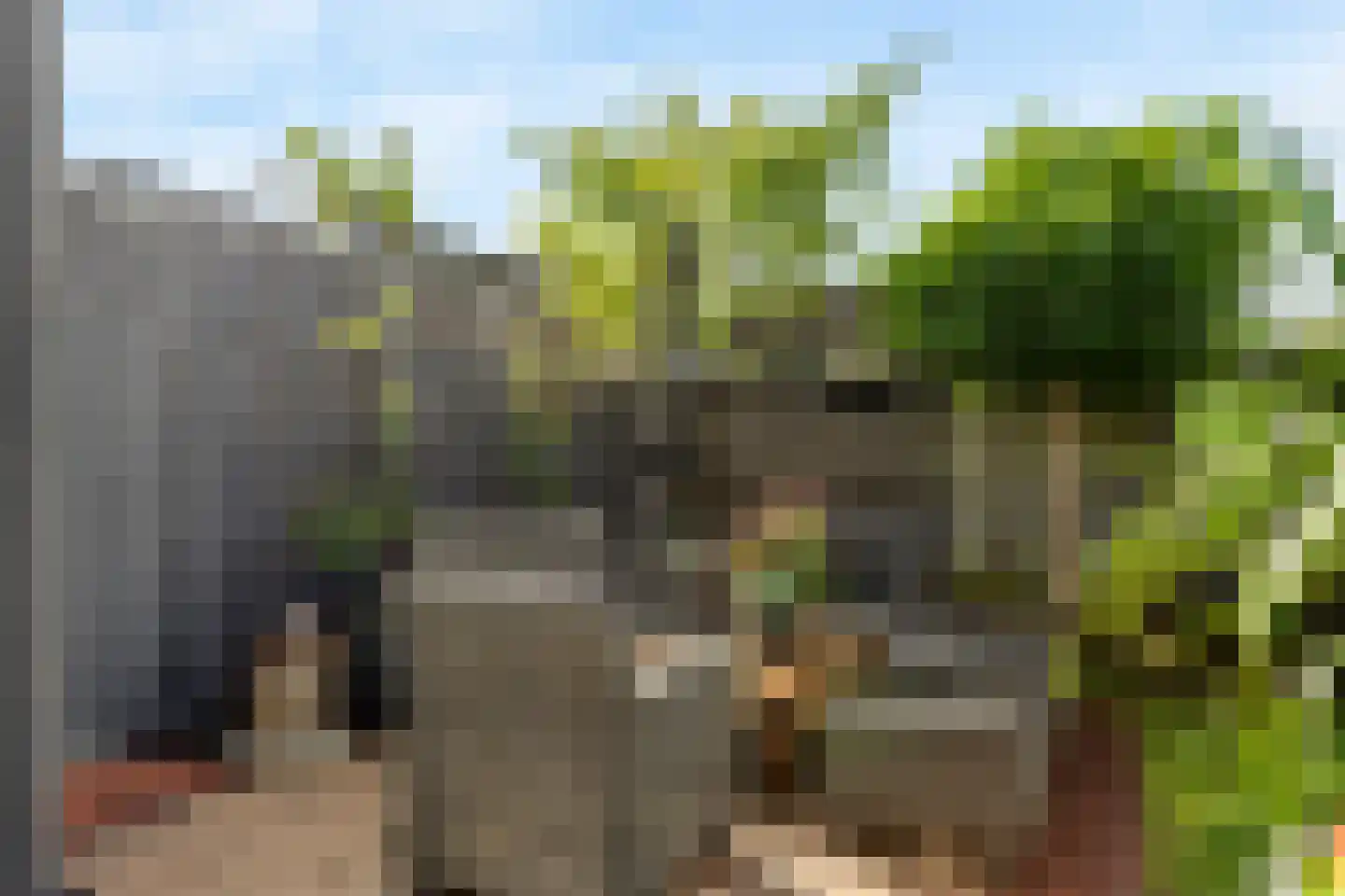 Willem Hanegraaflaan 11 Den Haag thumbnail 10