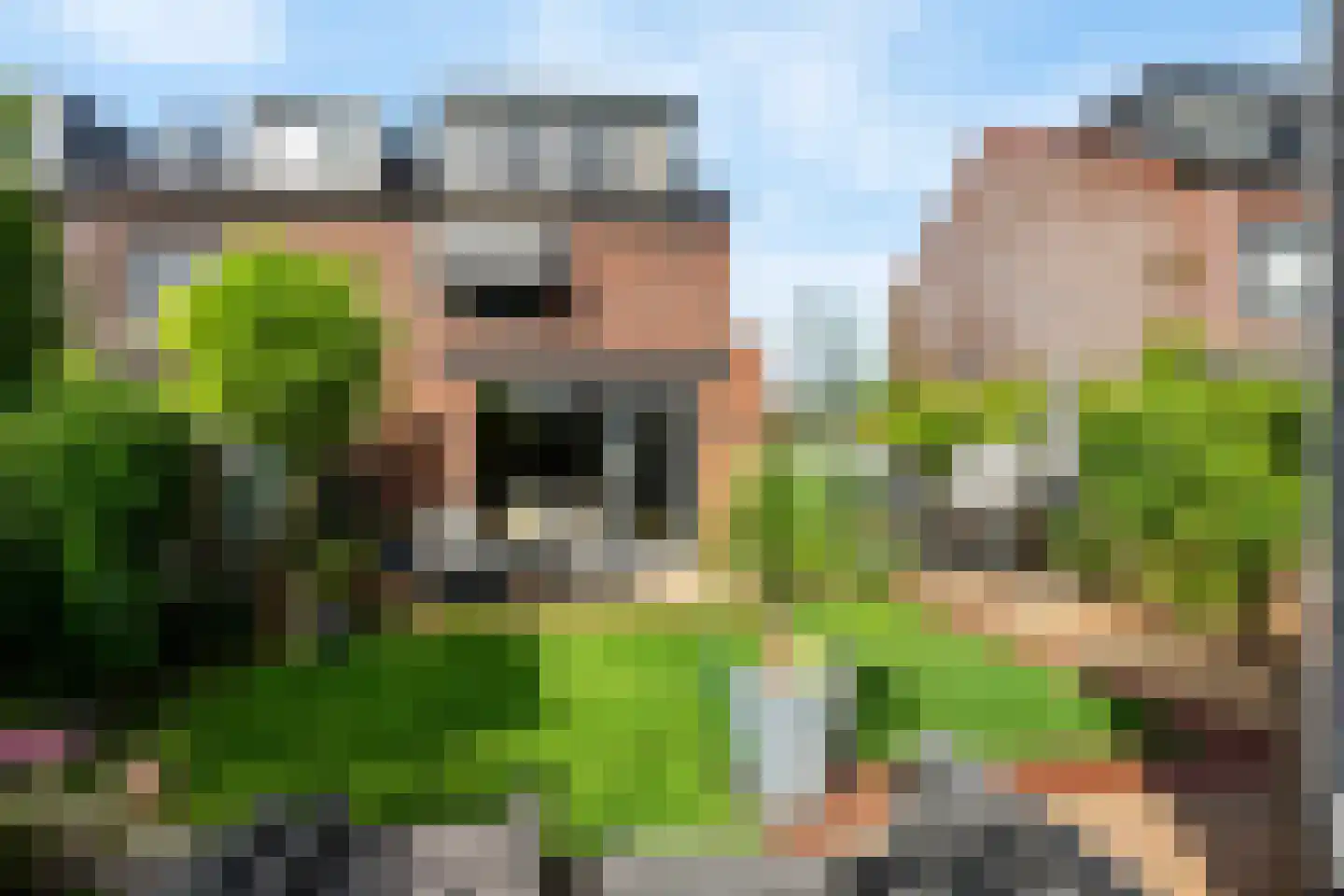 Willem Hanegraaflaan 11 Den Haag thumbnail 11