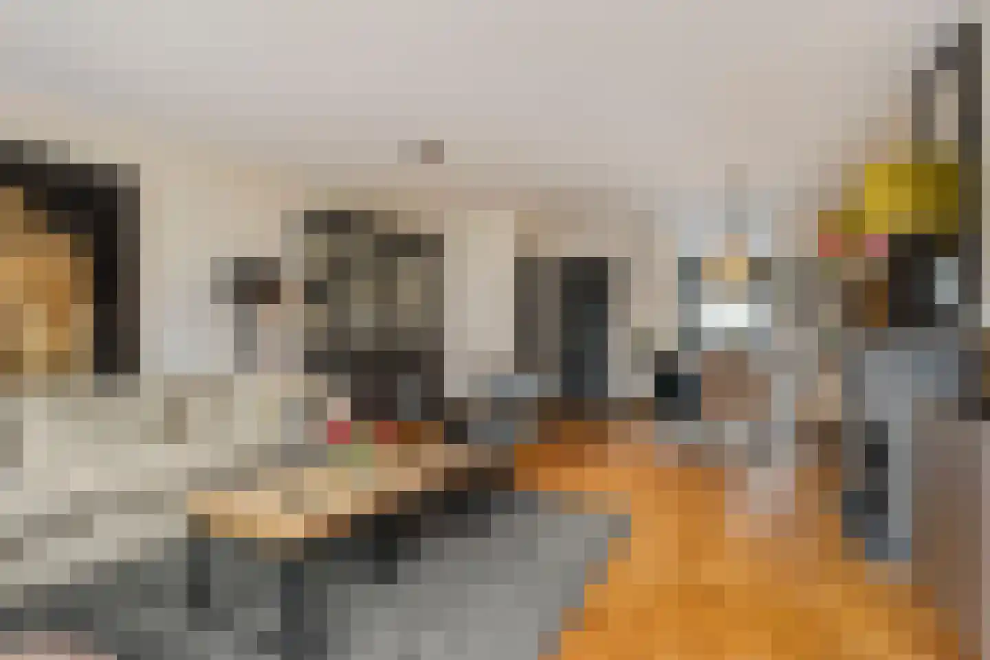 Willem Hanegraaflaan 11 Den Haag thumbnail 13