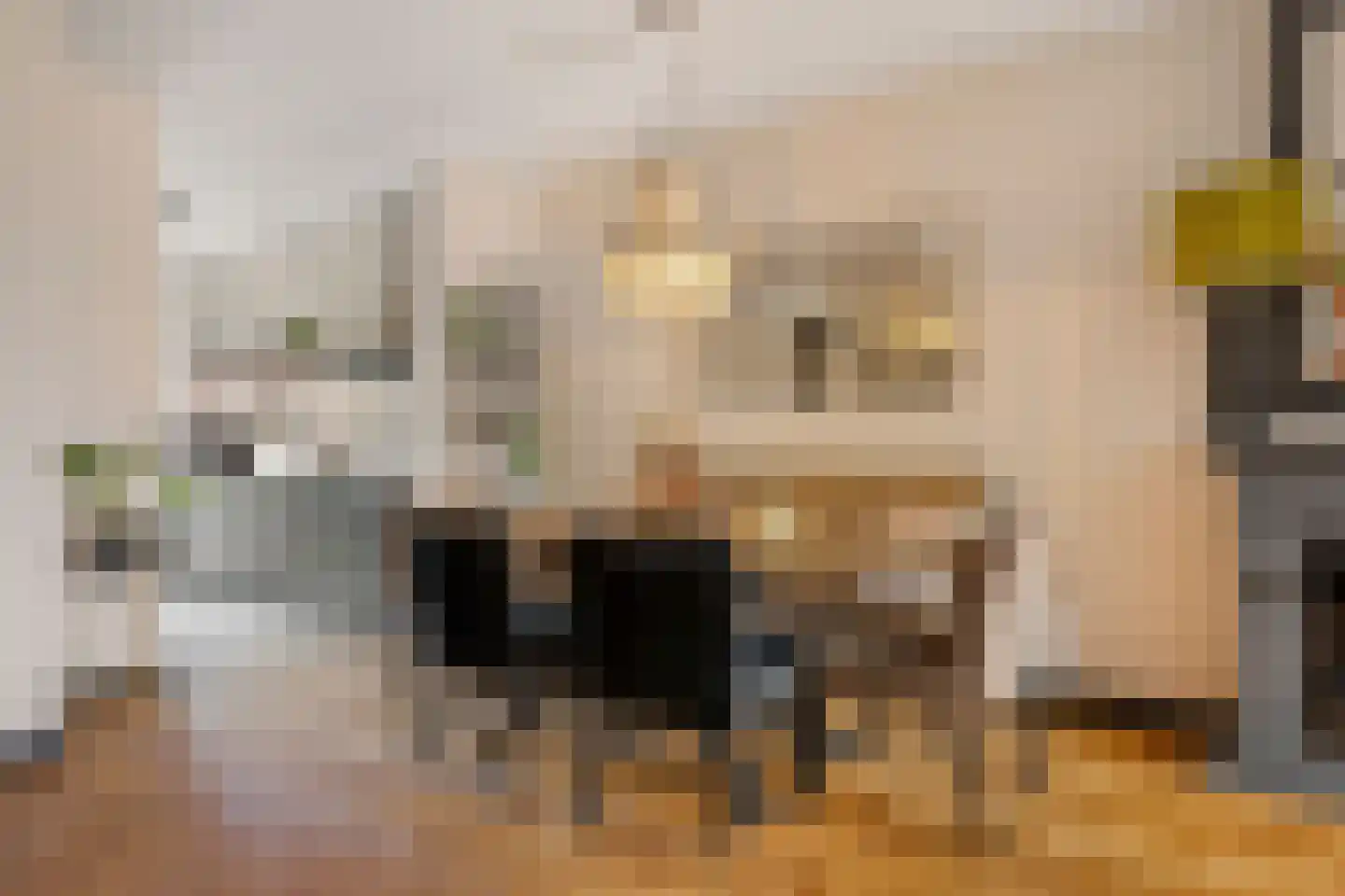Willem Hanegraaflaan 11 Den Haag thumbnail 14