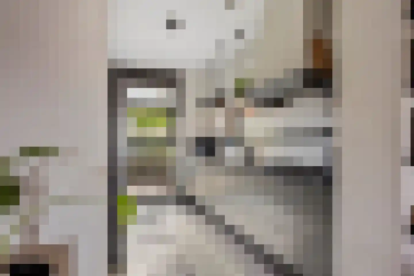 Willem Hanegraaflaan 11 Den Haag thumbnail 15