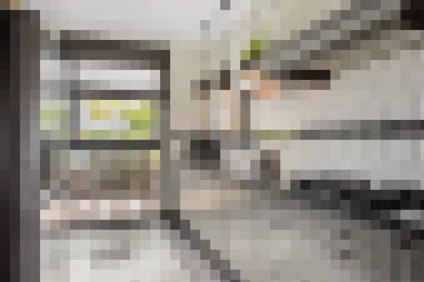 Willem Hanegraaflaan 11 Den Haag thumbnail 16