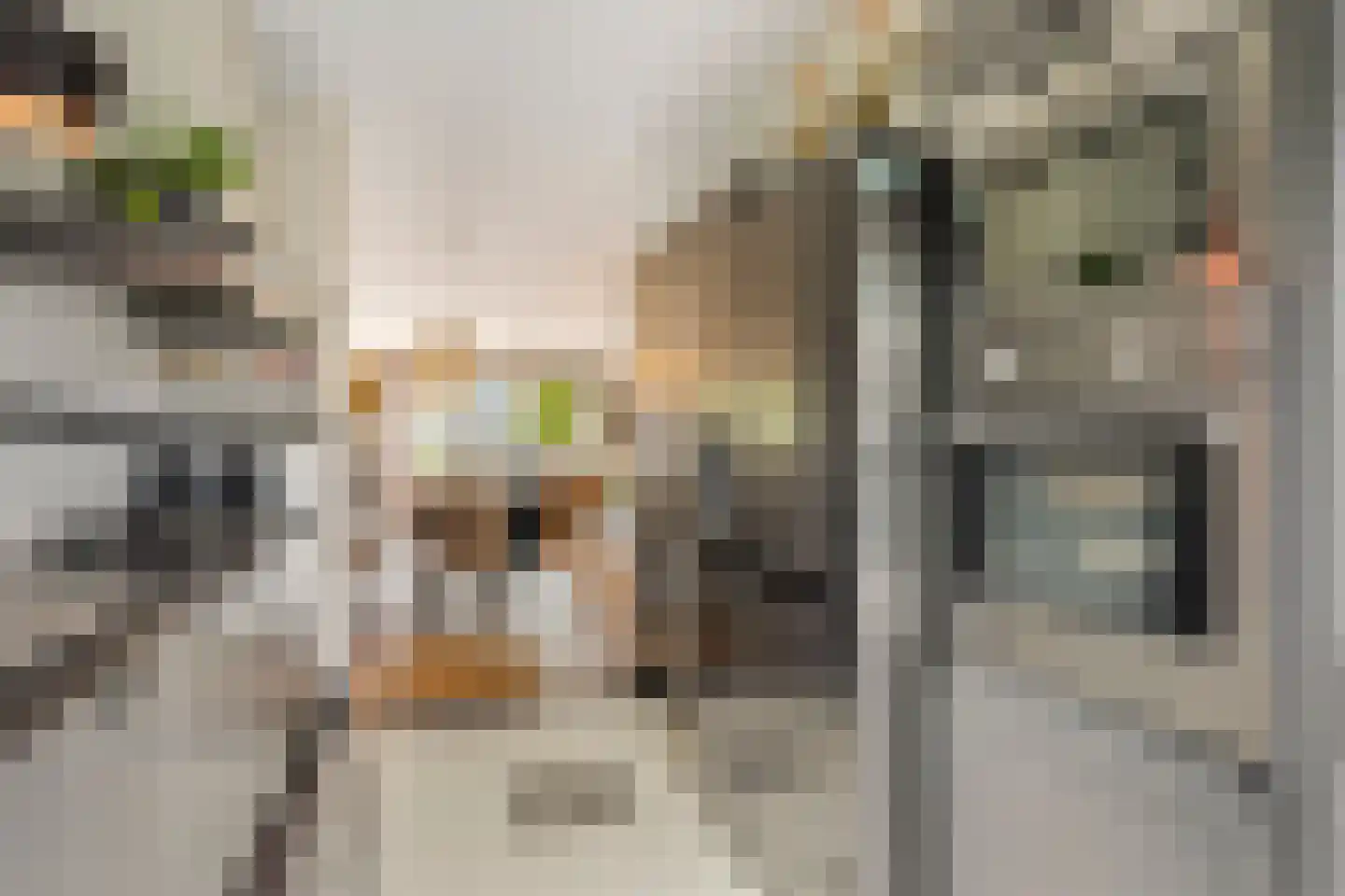 Willem Hanegraaflaan 11 Den Haag thumbnail 17