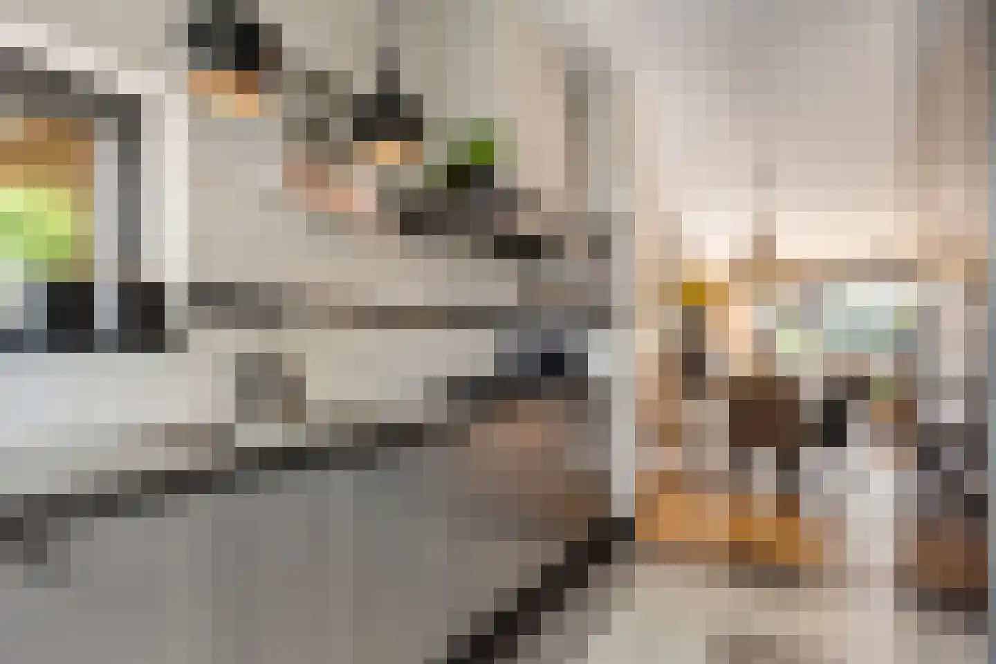 Willem Hanegraaflaan 11 Den Haag thumbnail 18