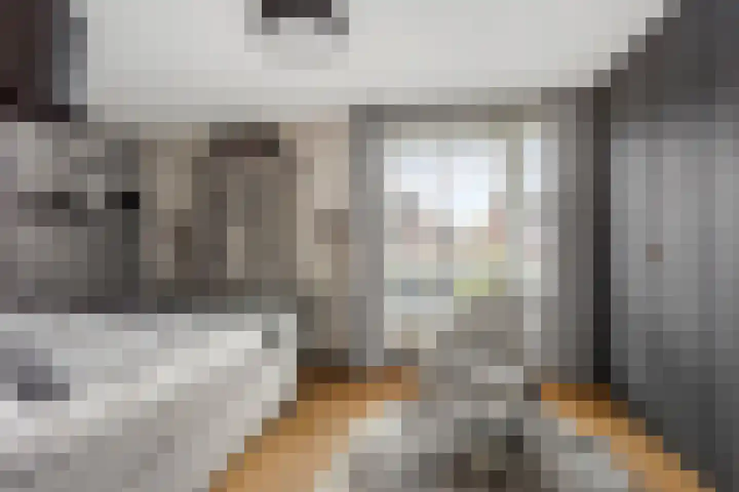 Willem Hanegraaflaan 11 Den Haag thumbnail 21