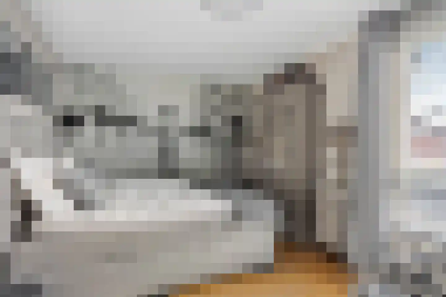 Willem Hanegraaflaan 11 Den Haag thumbnail 22