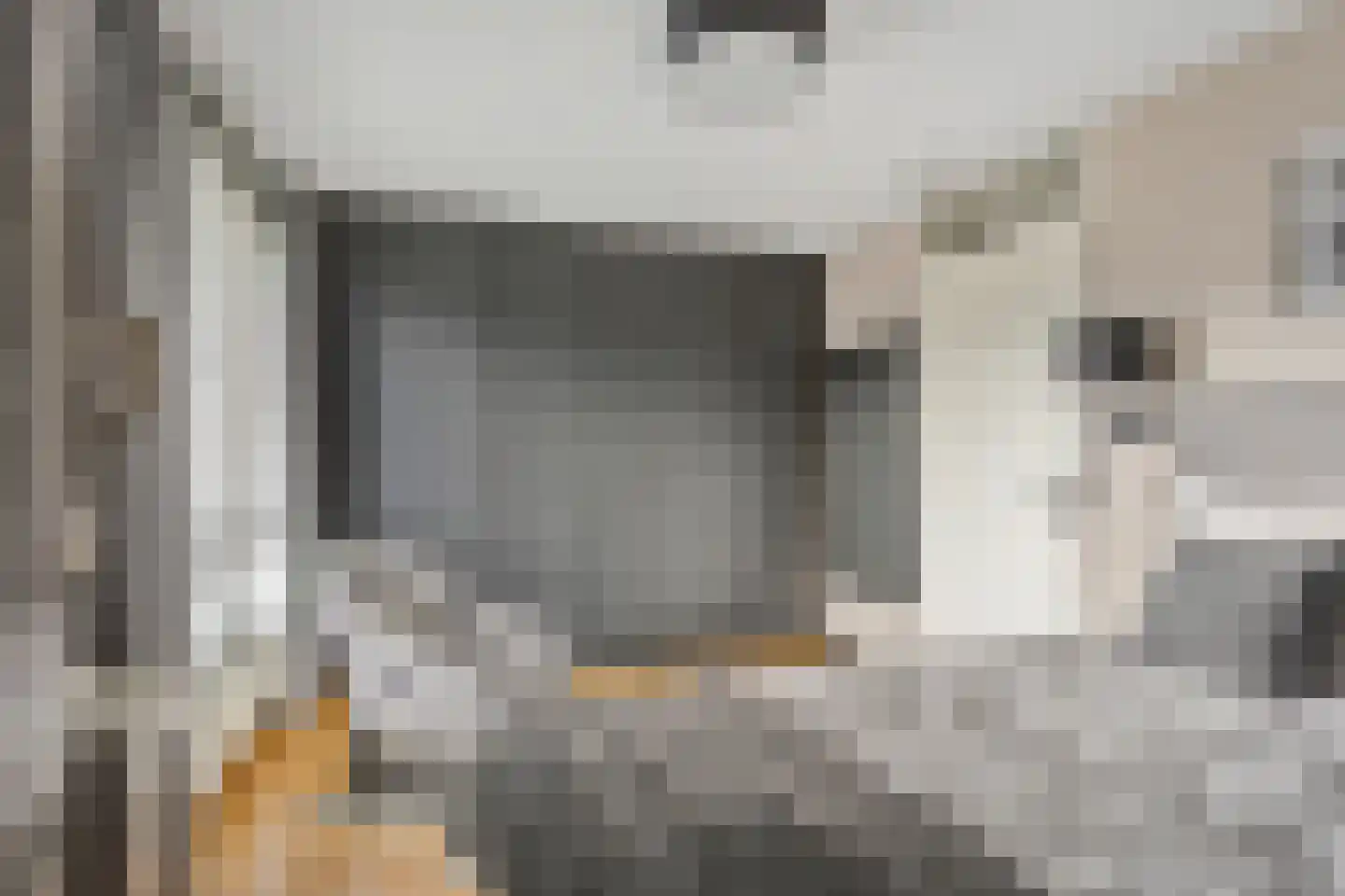 Willem Hanegraaflaan 11 Den Haag thumbnail 23