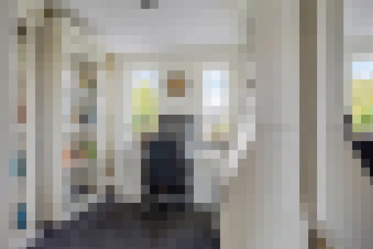Willem Hanegraaflaan 11 Den Haag thumbnail 24