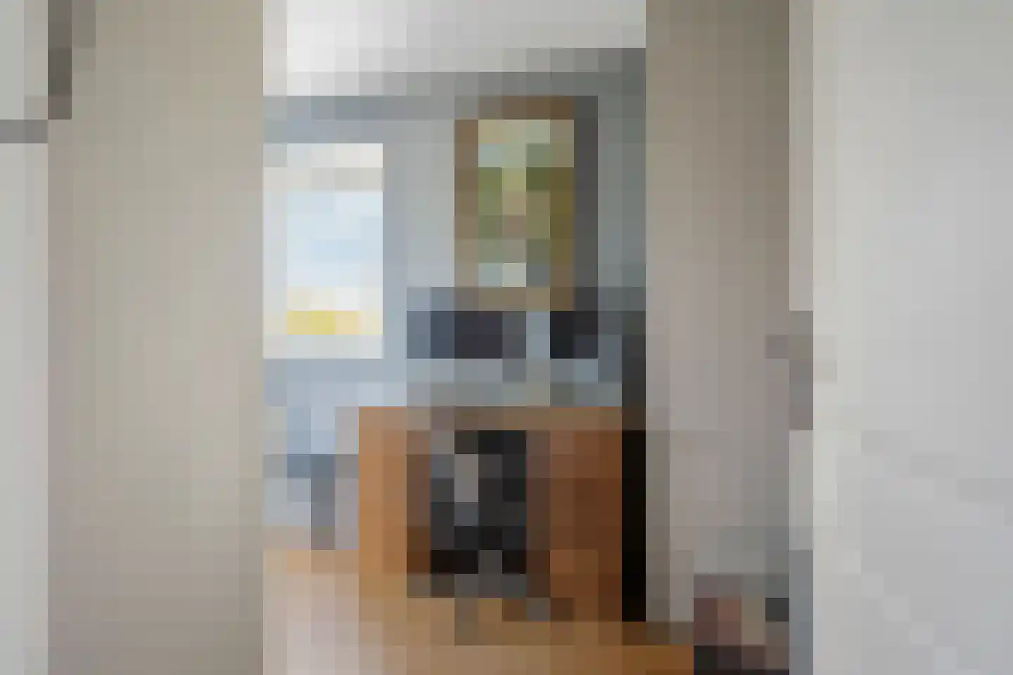 Willem Hanegraaflaan 11 Den Haag thumbnail 25