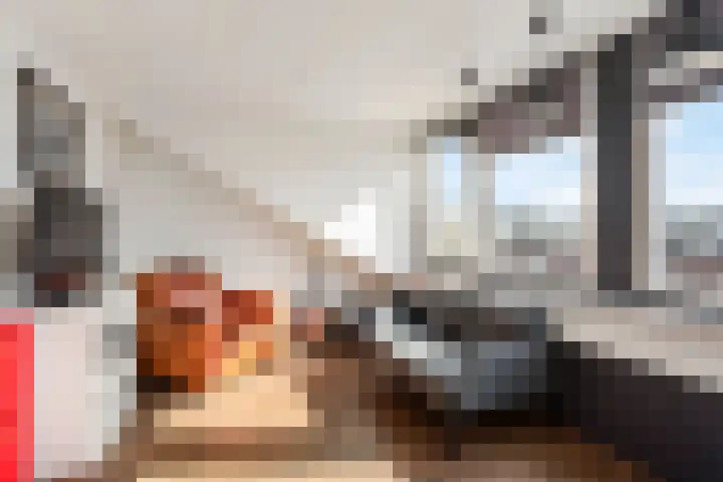 Willem Hanegraaflaan 11 Den Haag thumbnail 31
