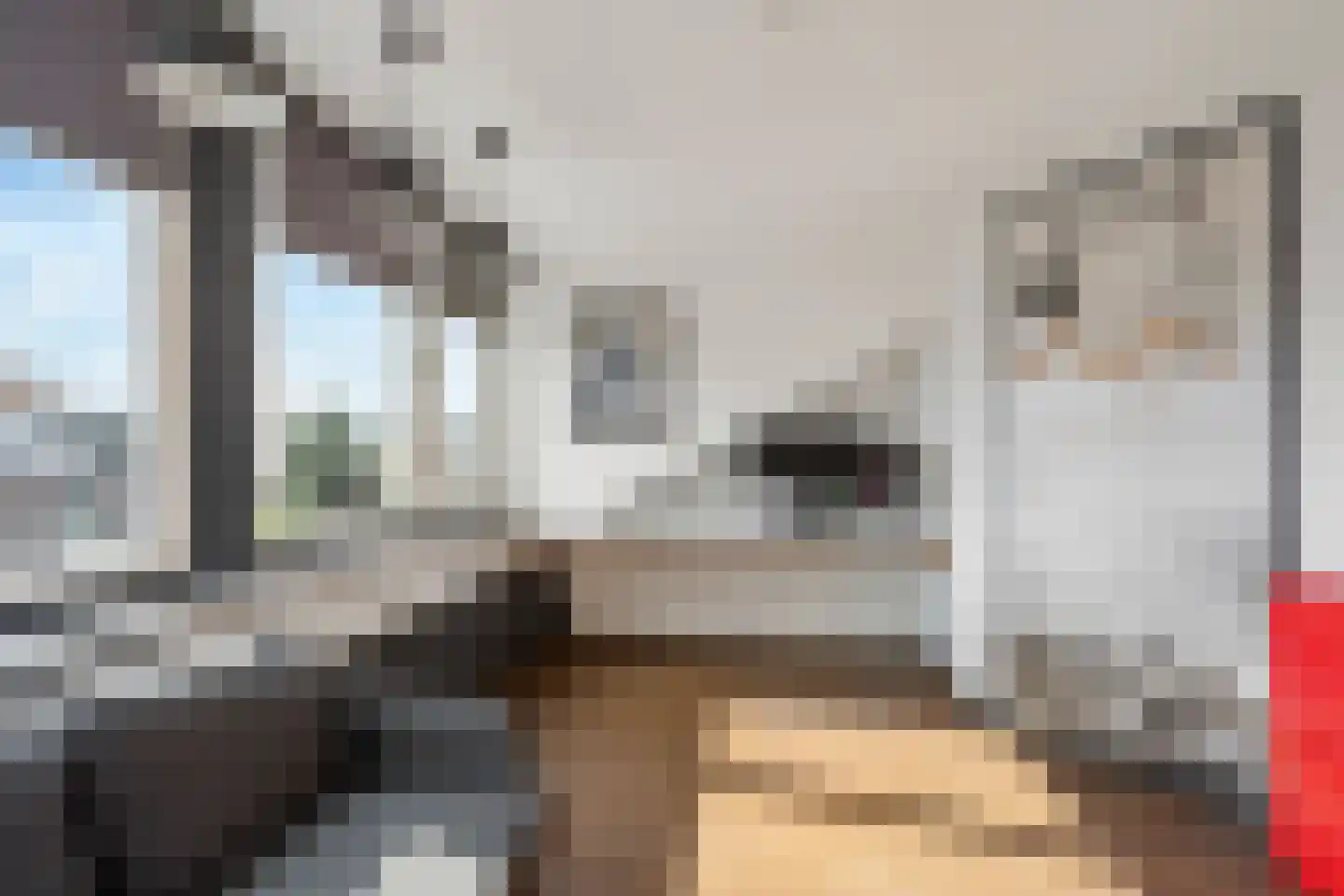 Willem Hanegraaflaan 11 Den Haag thumbnail 32