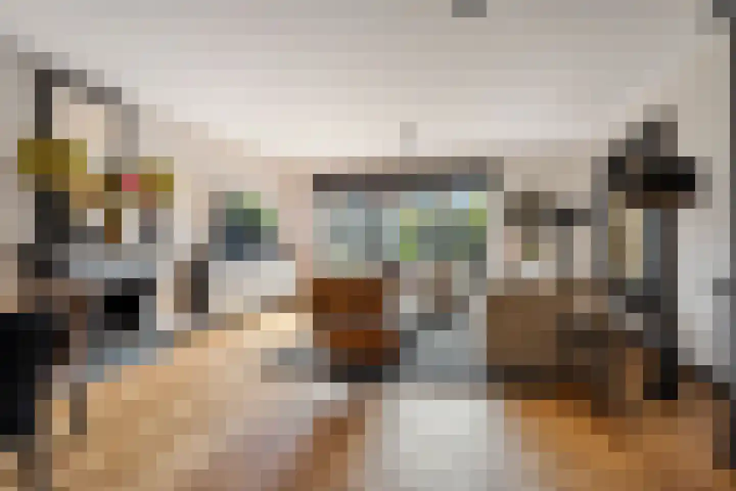Willem Hanegraaflaan 11 Den Haag thumbnail 6