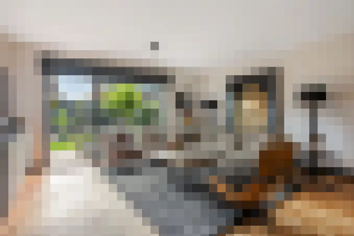 Willem Hanegraaflaan 11 Den Haag thumbnail 7