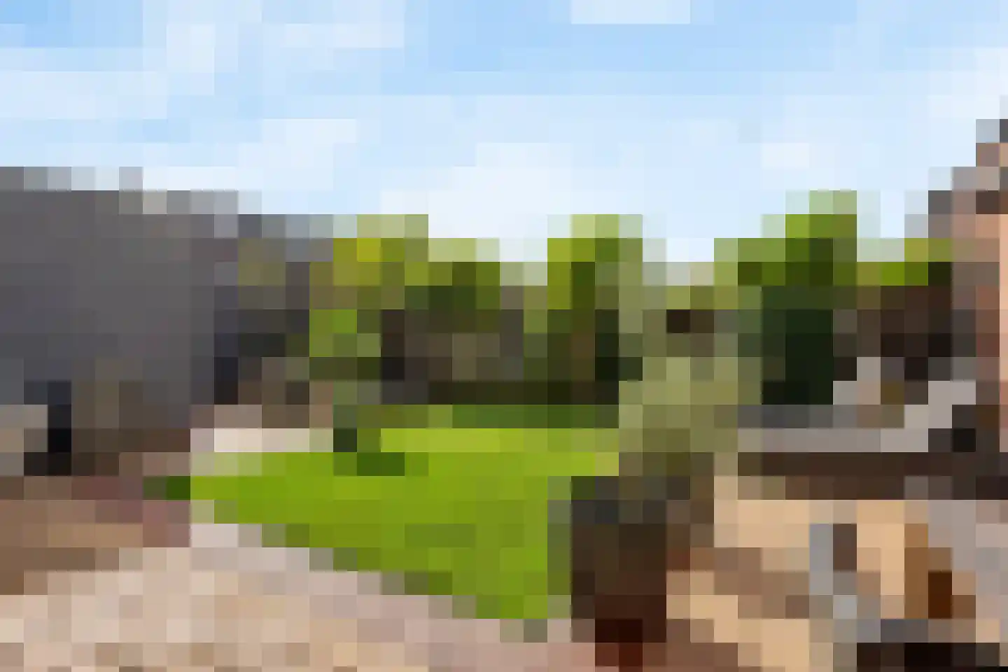 Willem Hanegraaflaan 11 Den Haag thumbnail 9