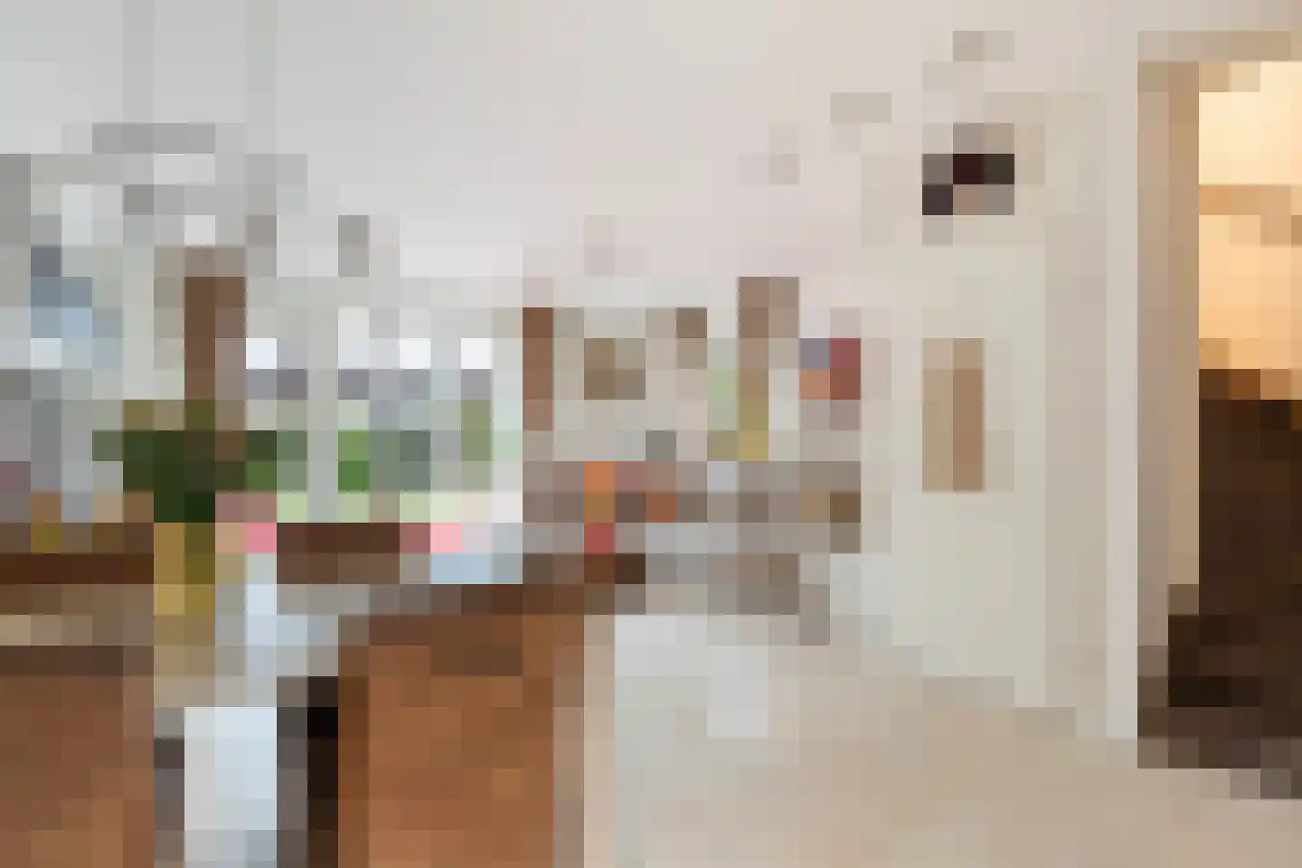 Willem Hanegraaflaan 13 Den Haag thumbnail 11