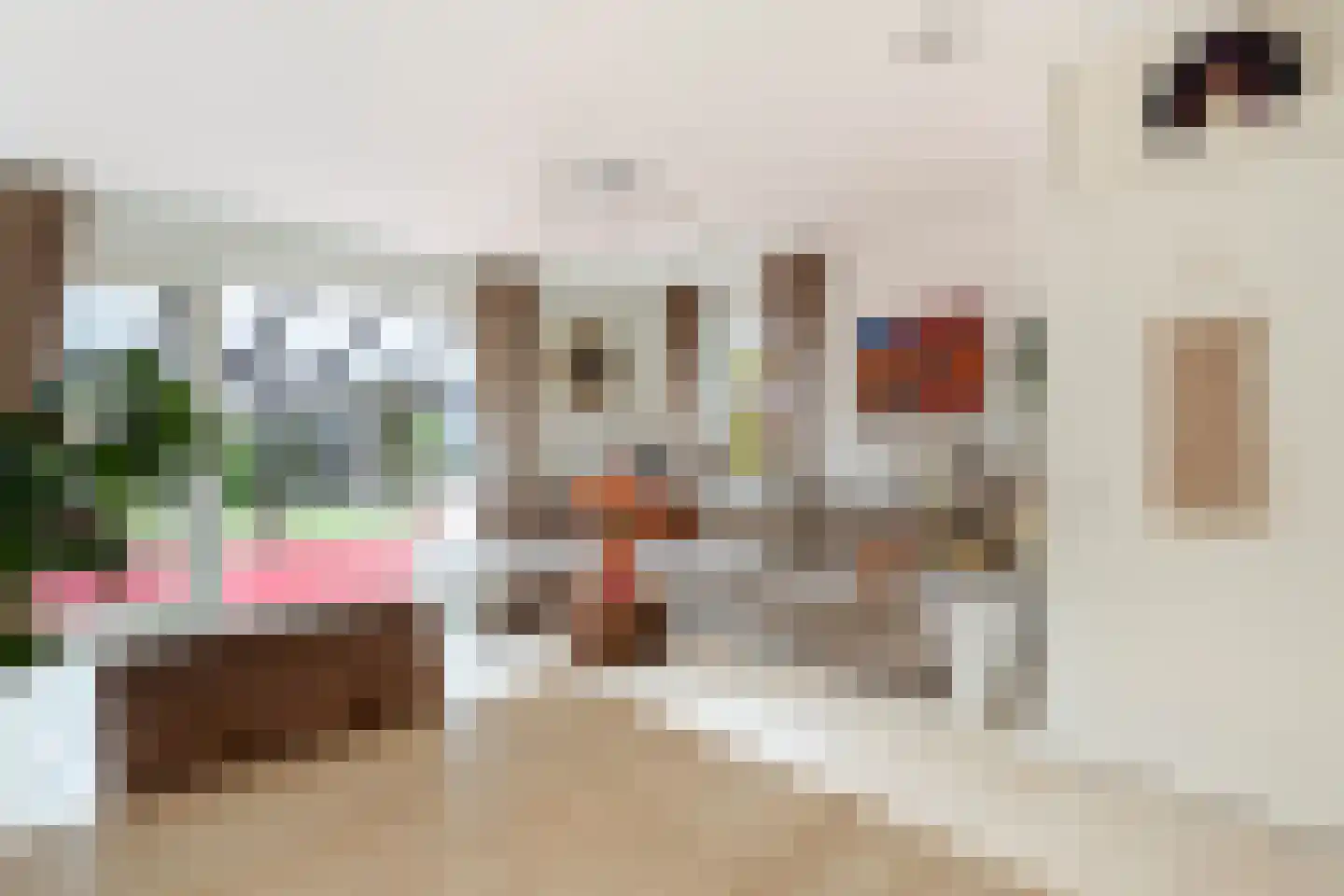 Willem Hanegraaflaan 13 Den Haag thumbnail 12