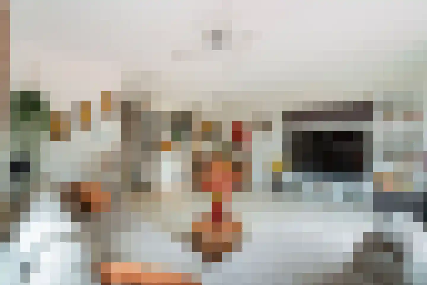 Willem Hanegraaflaan 13 Den Haag thumbnail 14