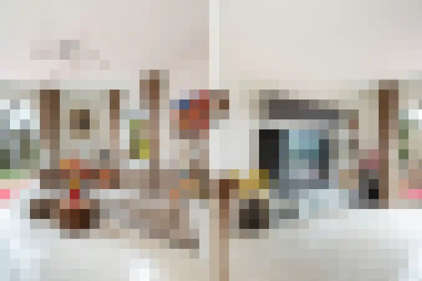 Willem Hanegraaflaan 13 Den Haag thumbnail 15