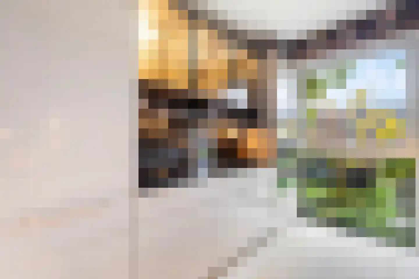 Willem Hanegraaflaan 13 Den Haag thumbnail 16