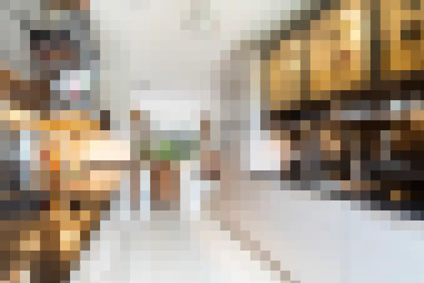 Willem Hanegraaflaan 13 Den Haag thumbnail 17