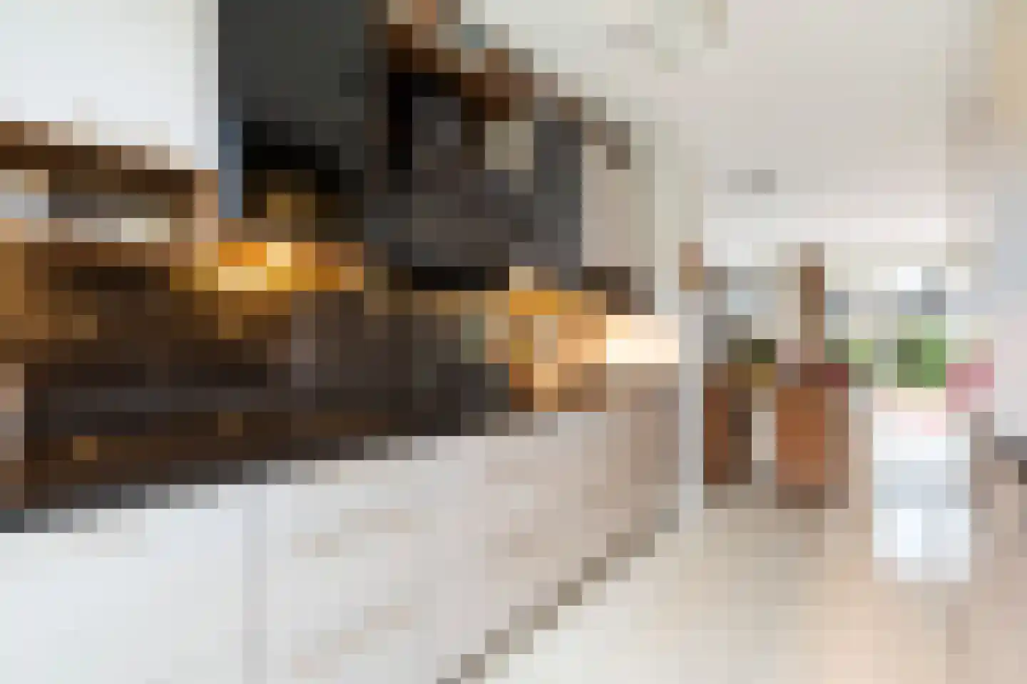 Willem Hanegraaflaan 13 Den Haag thumbnail 18