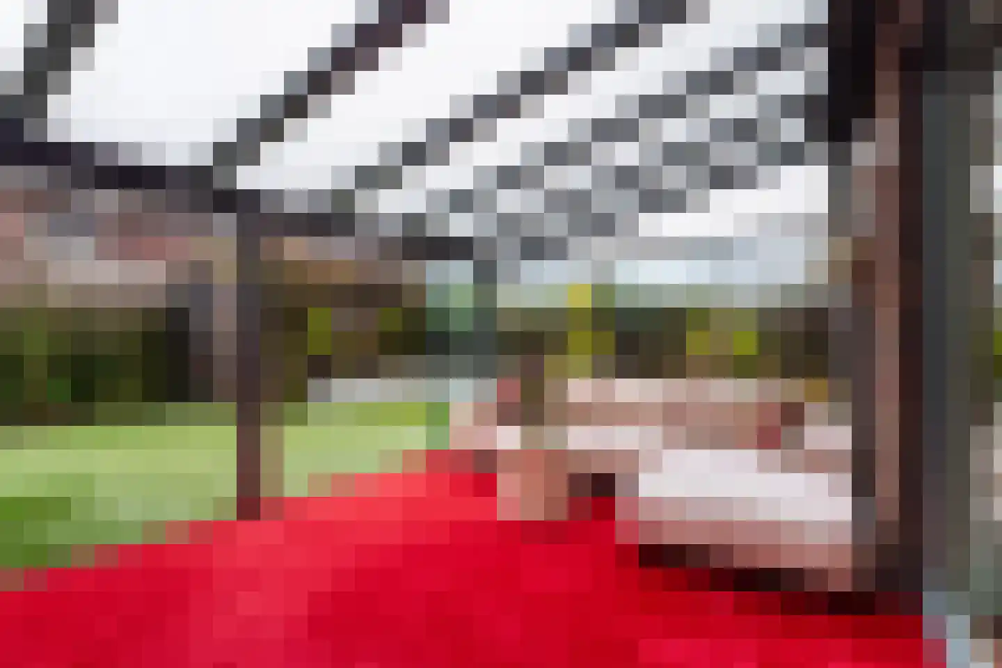 Willem Hanegraaflaan 13 Den Haag thumbnail 20