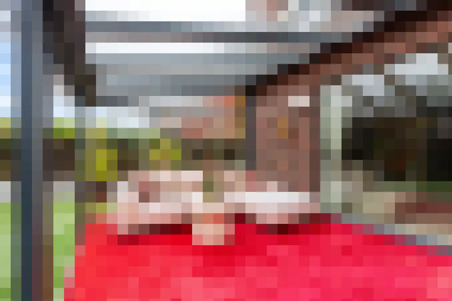 Willem Hanegraaflaan 13 Den Haag thumbnail 21