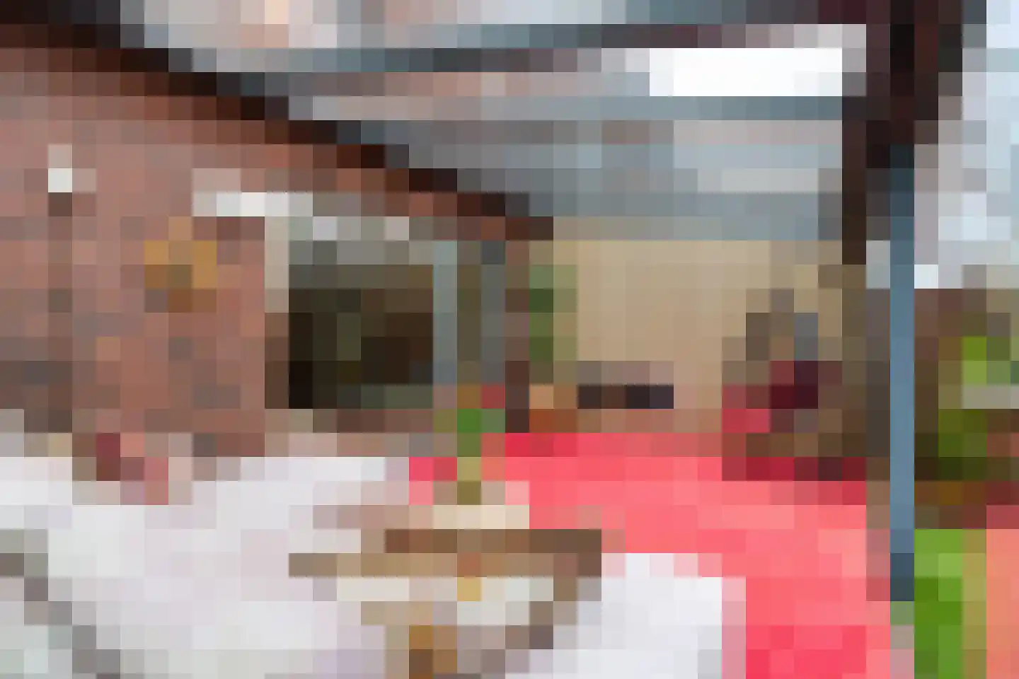 Willem Hanegraaflaan 13 Den Haag thumbnail 22