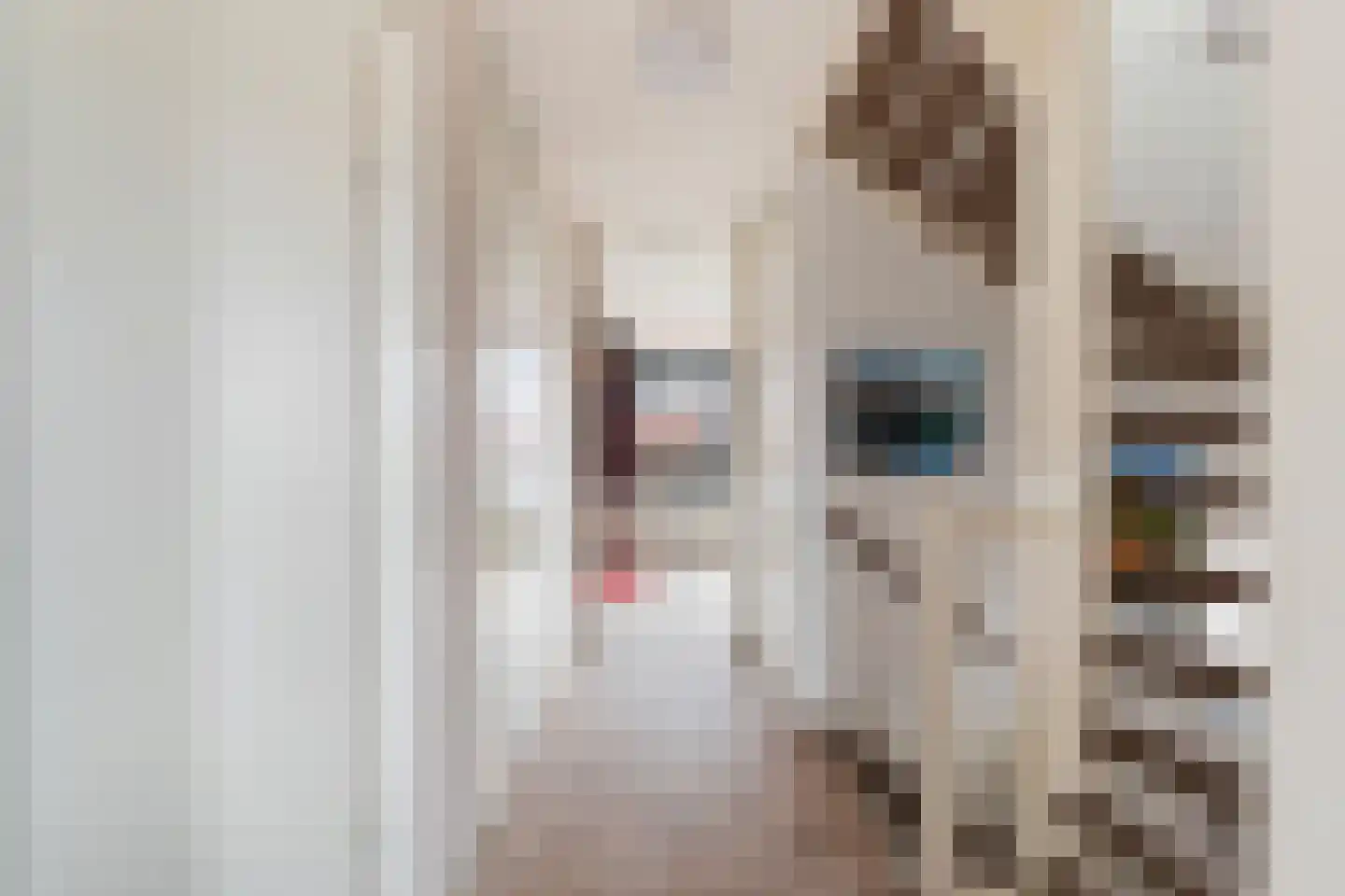 Willem Hanegraaflaan 13 Den Haag thumbnail 23