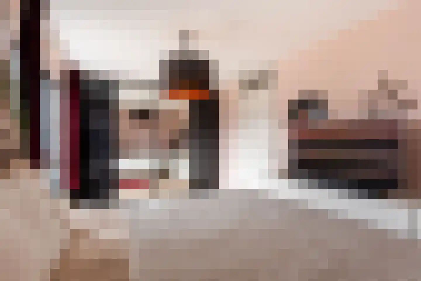 Willem Hanegraaflaan 13 Den Haag thumbnail 27
