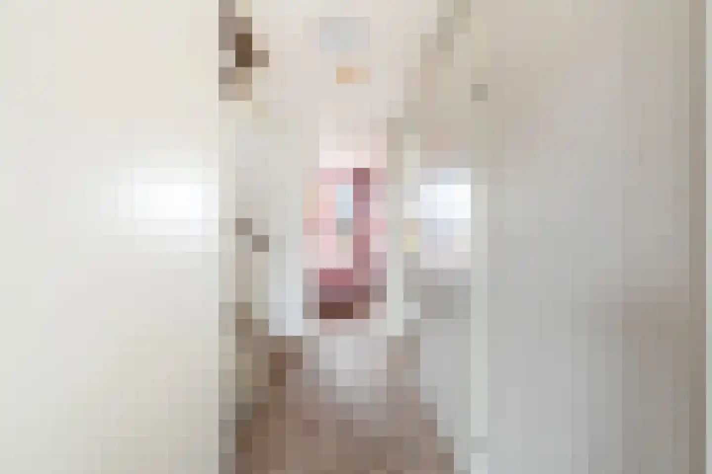 Willem Hanegraaflaan 13 Den Haag thumbnail 28