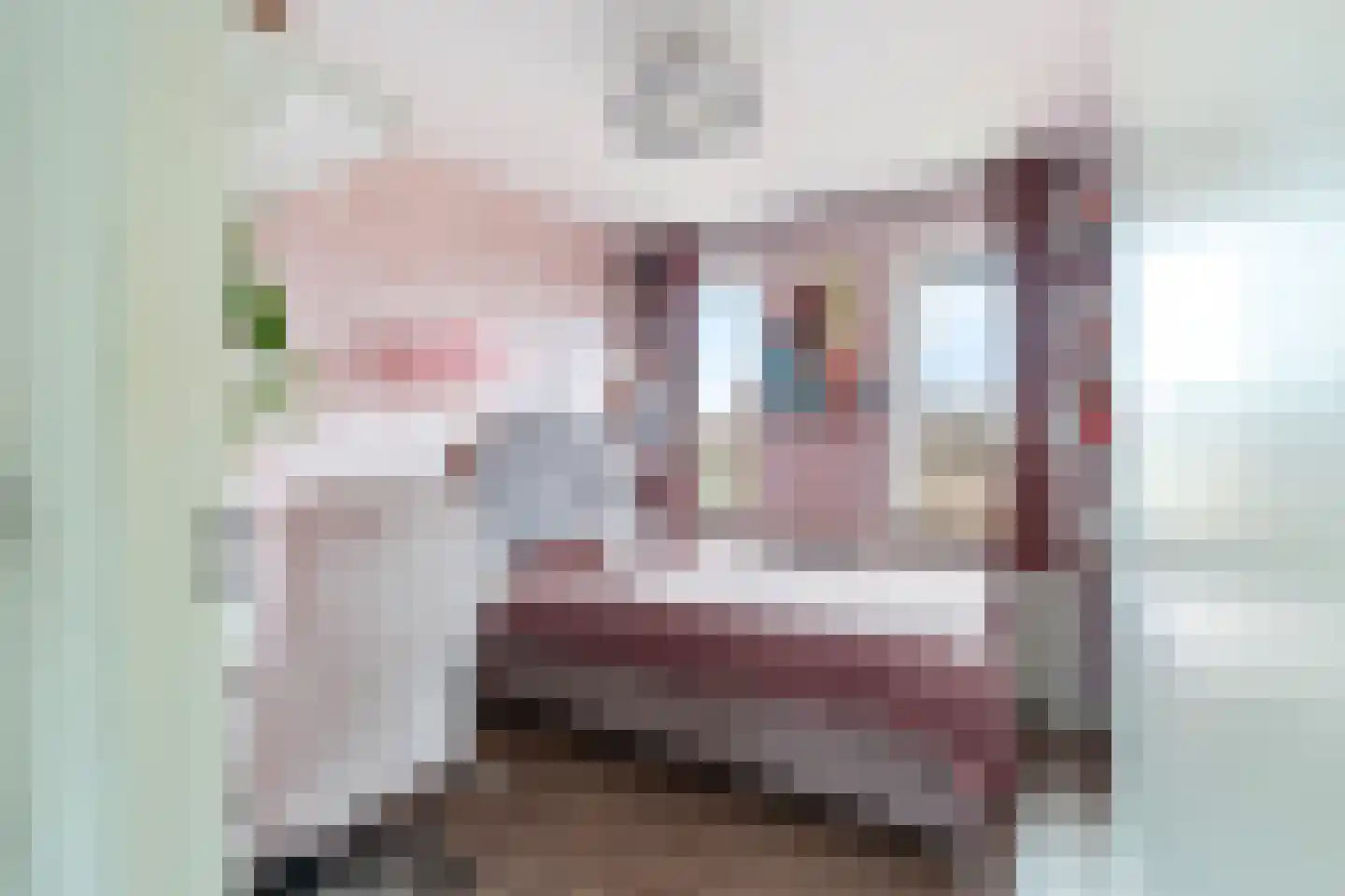 Willem Hanegraaflaan 13 Den Haag thumbnail 29
