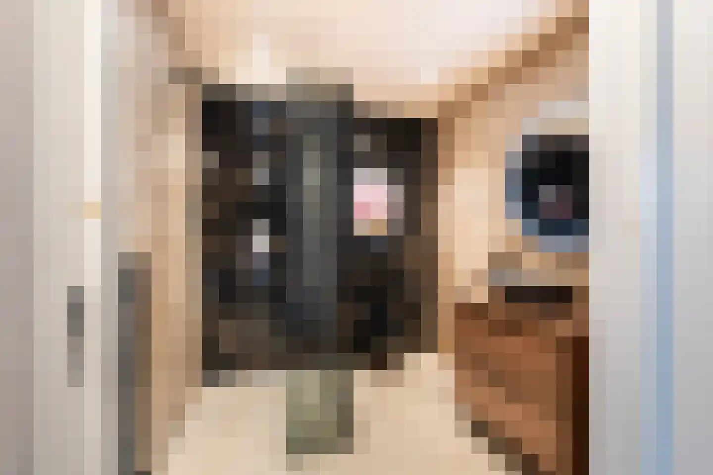 Willem Hanegraaflaan 13 Den Haag thumbnail 33