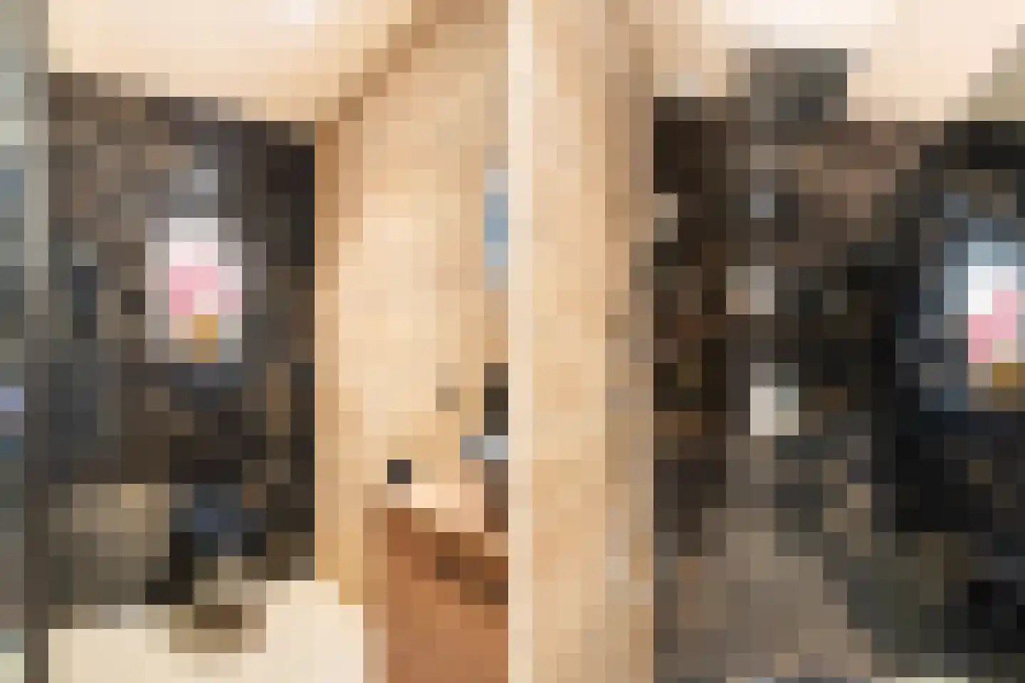 Willem Hanegraaflaan 13 Den Haag thumbnail 35
