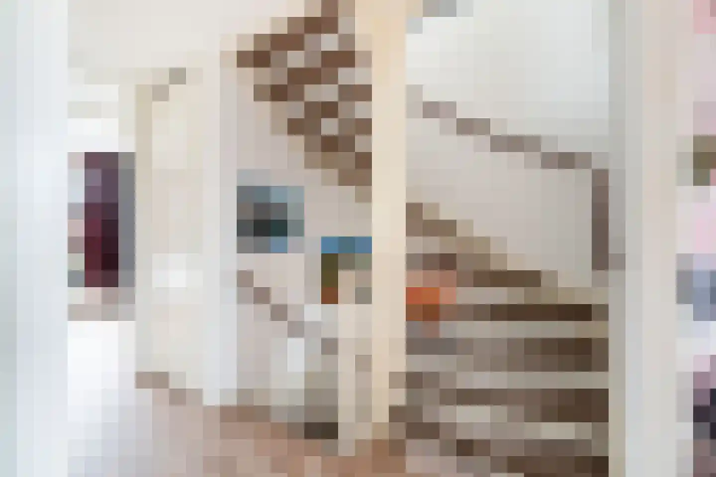 Willem Hanegraaflaan 13 Den Haag thumbnail 36