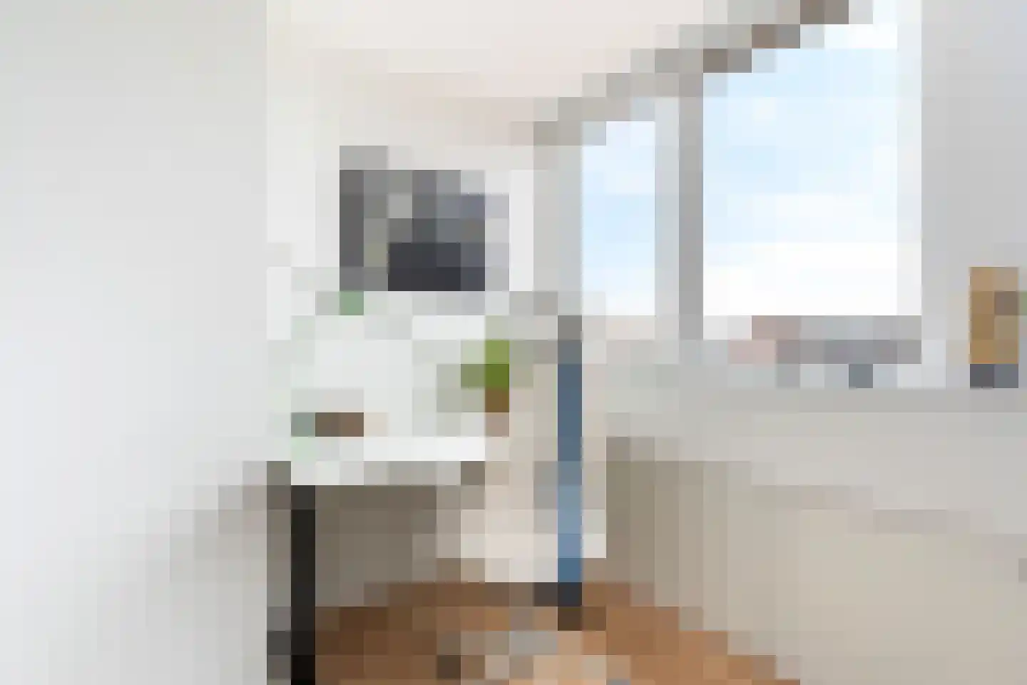 Willem Hanegraaflaan 13 Den Haag thumbnail 39
