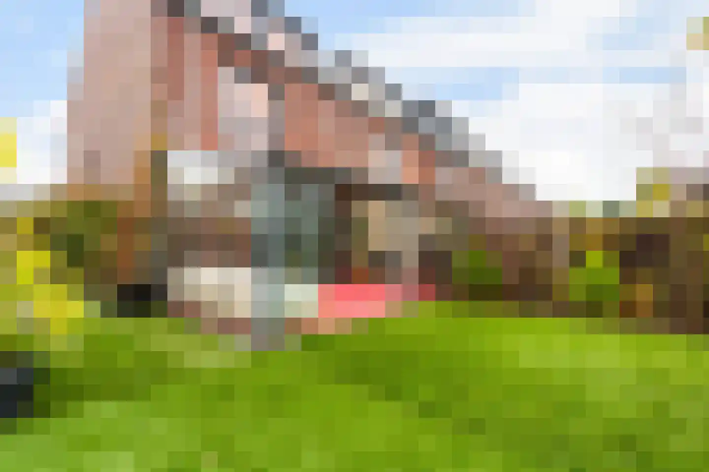 Willem Hanegraaflaan 13 Den Haag thumbnail 4