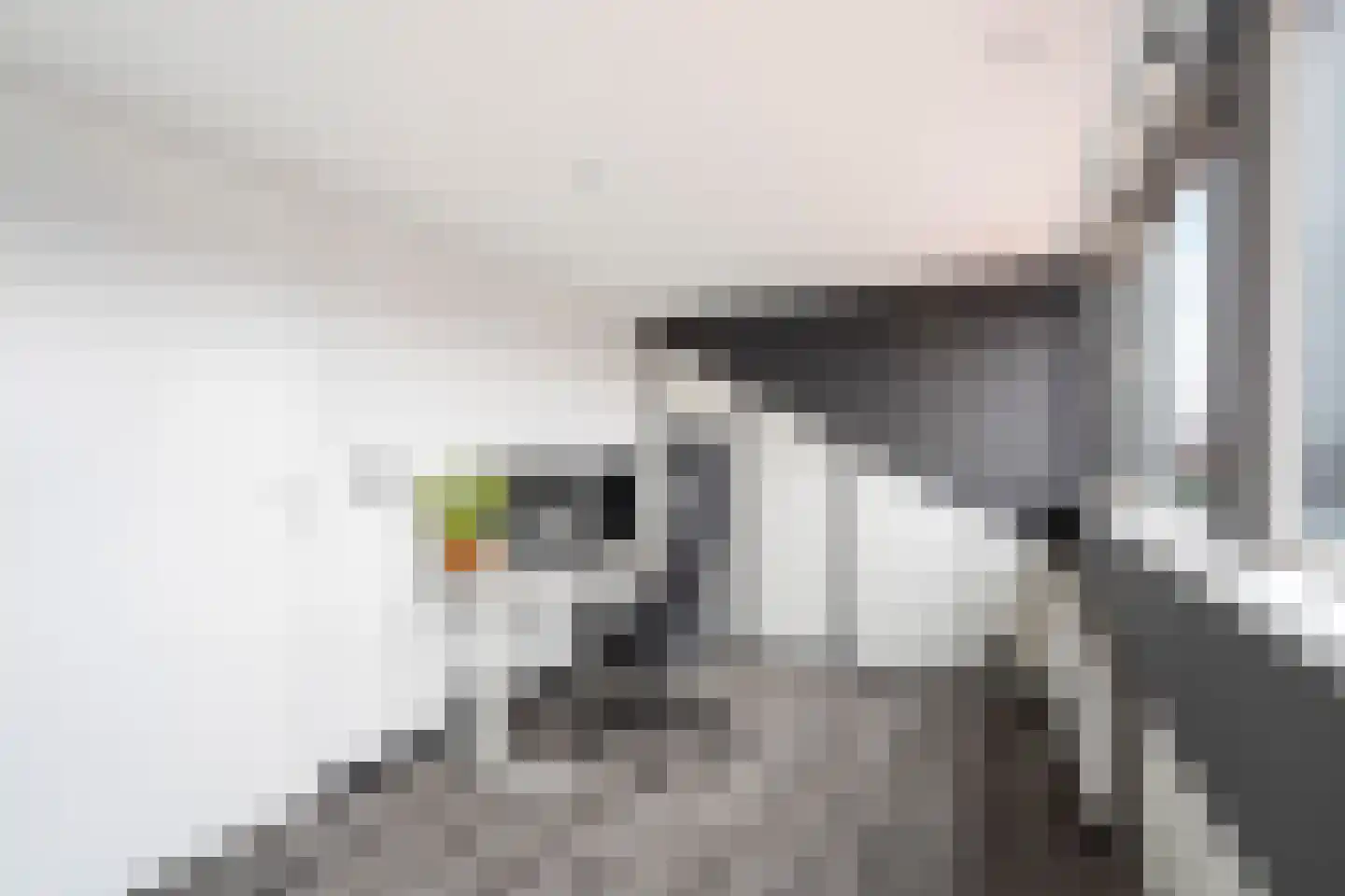 Willem Hanegraaflaan 13 Den Haag thumbnail 43