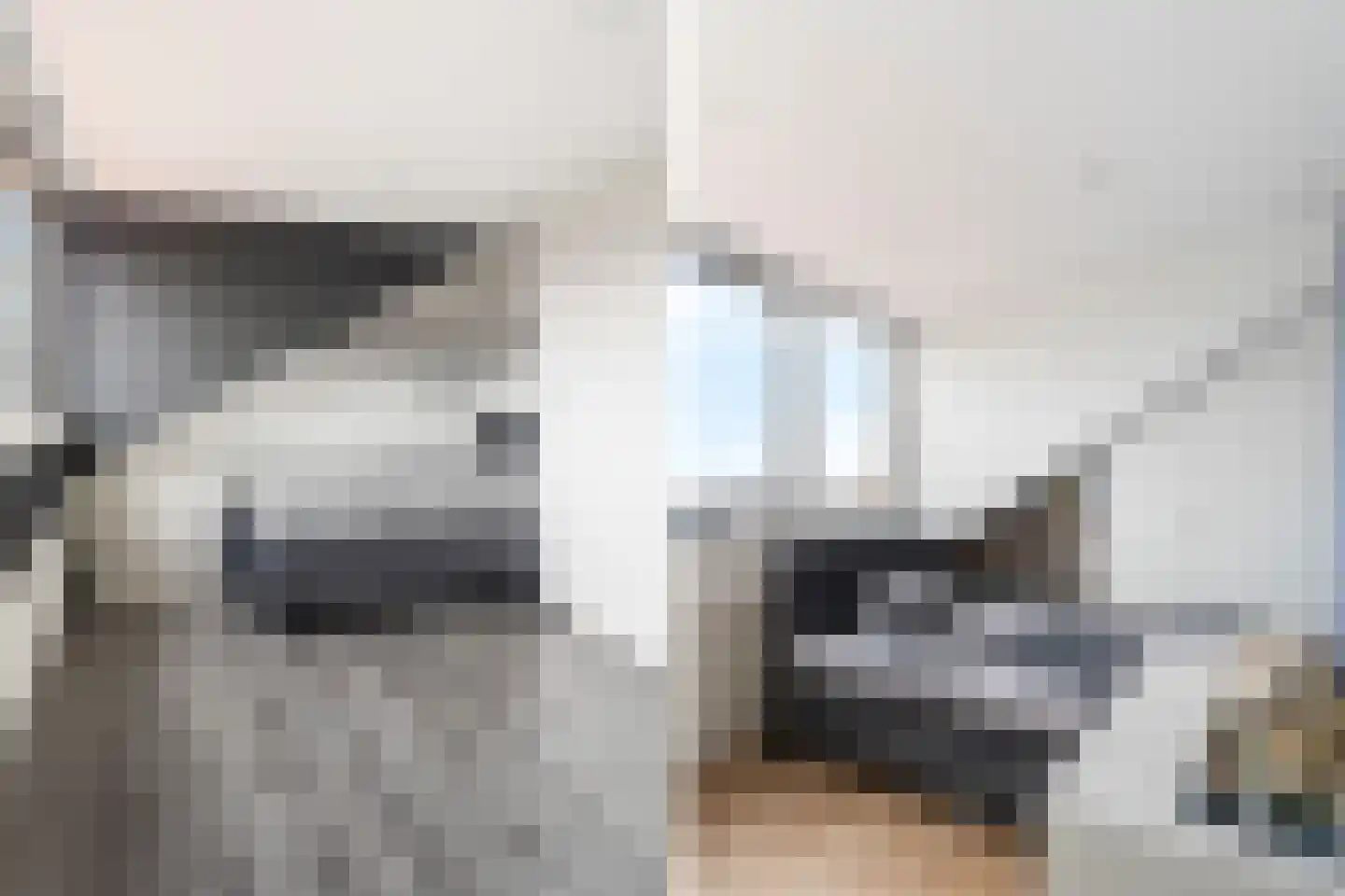 Willem Hanegraaflaan 13 Den Haag thumbnail 45
