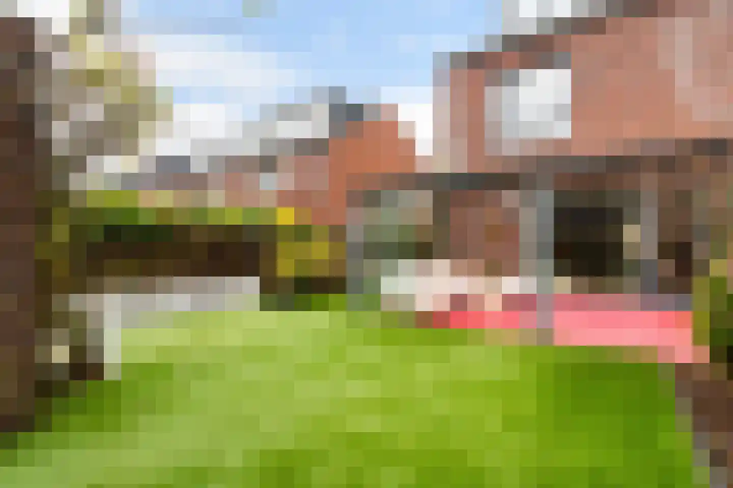Willem Hanegraaflaan 13 Den Haag thumbnail 48