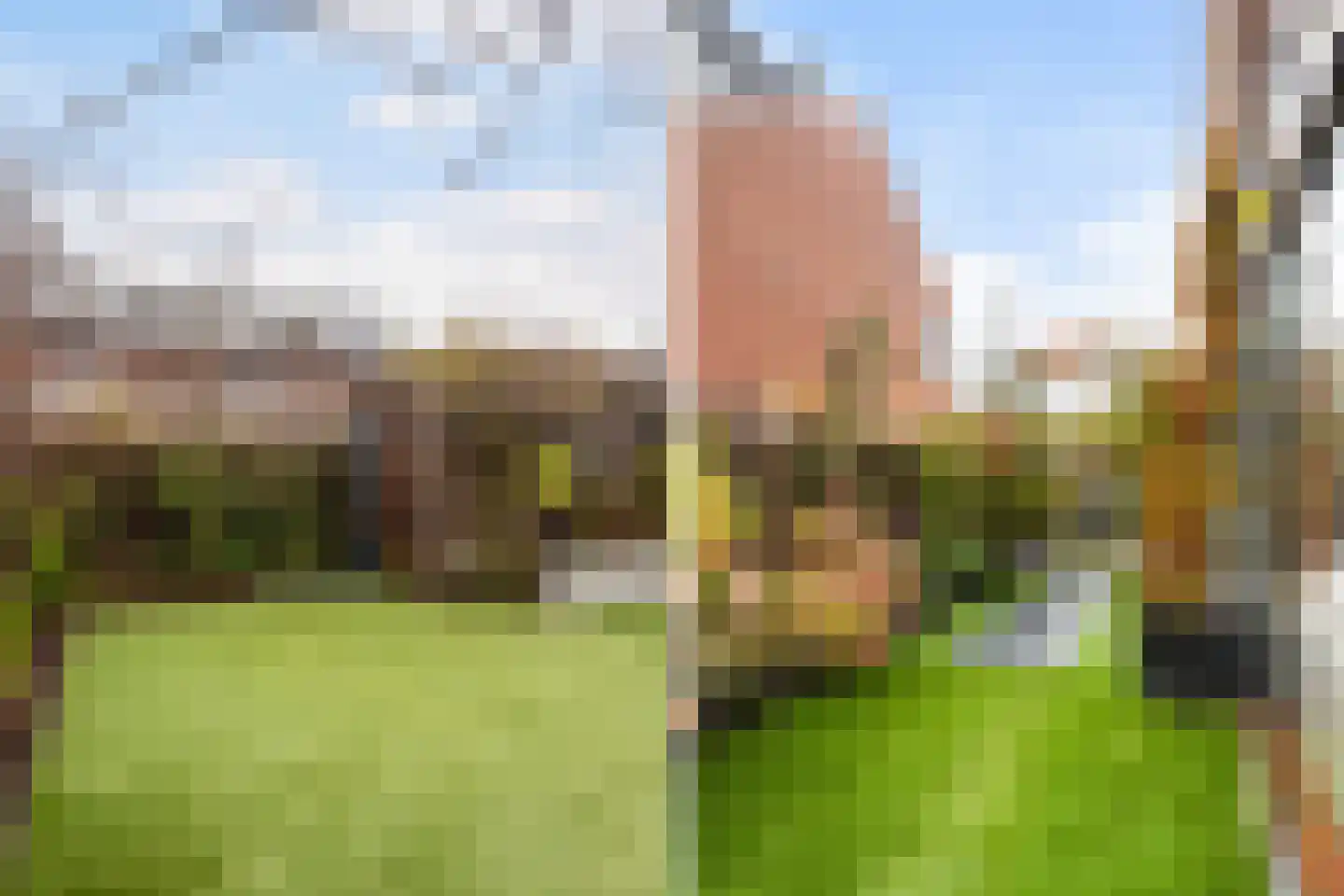 Willem Hanegraaflaan 13 Den Haag thumbnail 52