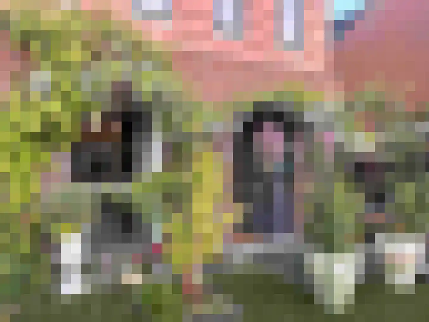 Willem Hanegraaflaan 13 Den Haag thumbnail 60