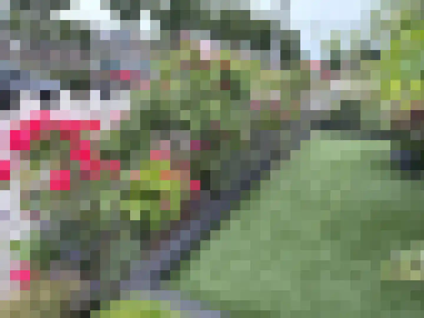 Willem Hanegraaflaan 13 Den Haag thumbnail 61