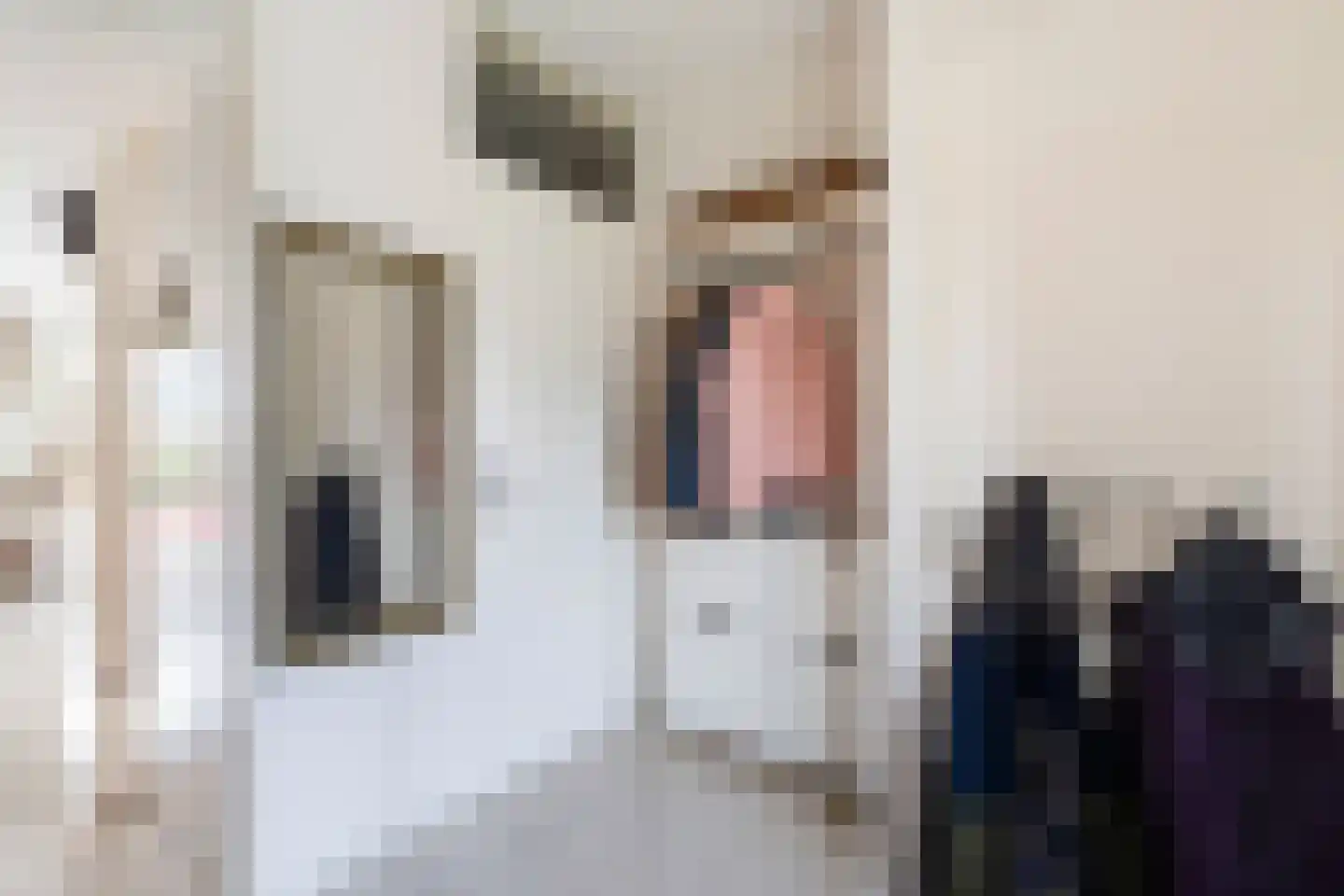Willem Hanegraaflaan 13 Den Haag thumbnail 8
