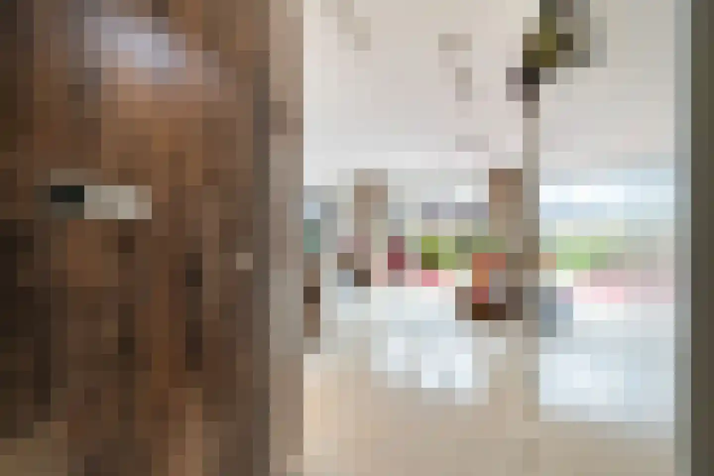 Willem Hanegraaflaan 13 Den Haag thumbnail 9